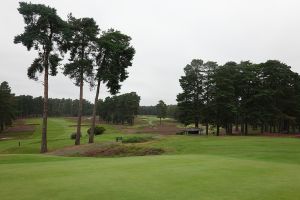 Swinley Forest 7th Green 12th Back